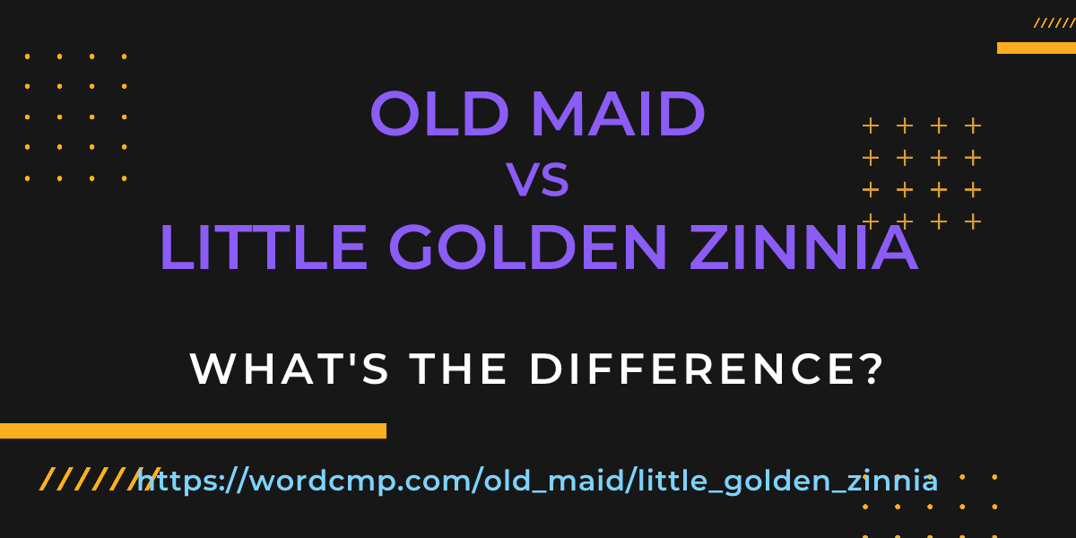 Difference between old maid and little golden zinnia