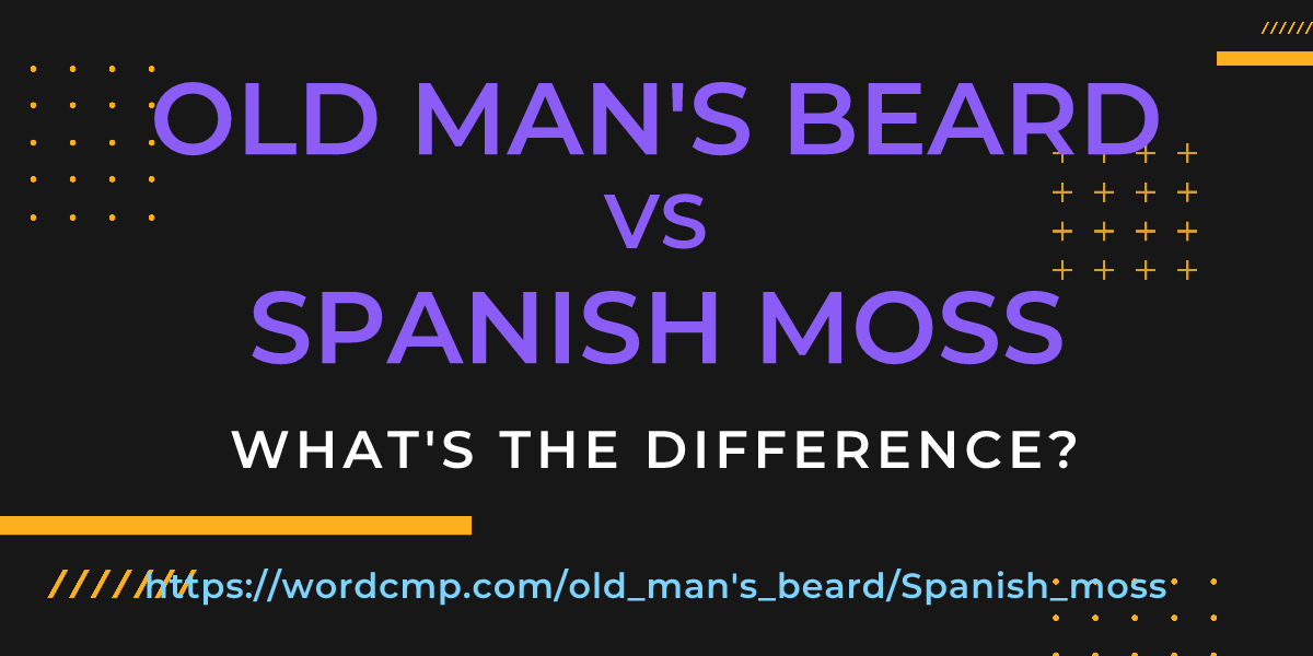 Difference between old man's beard and Spanish moss