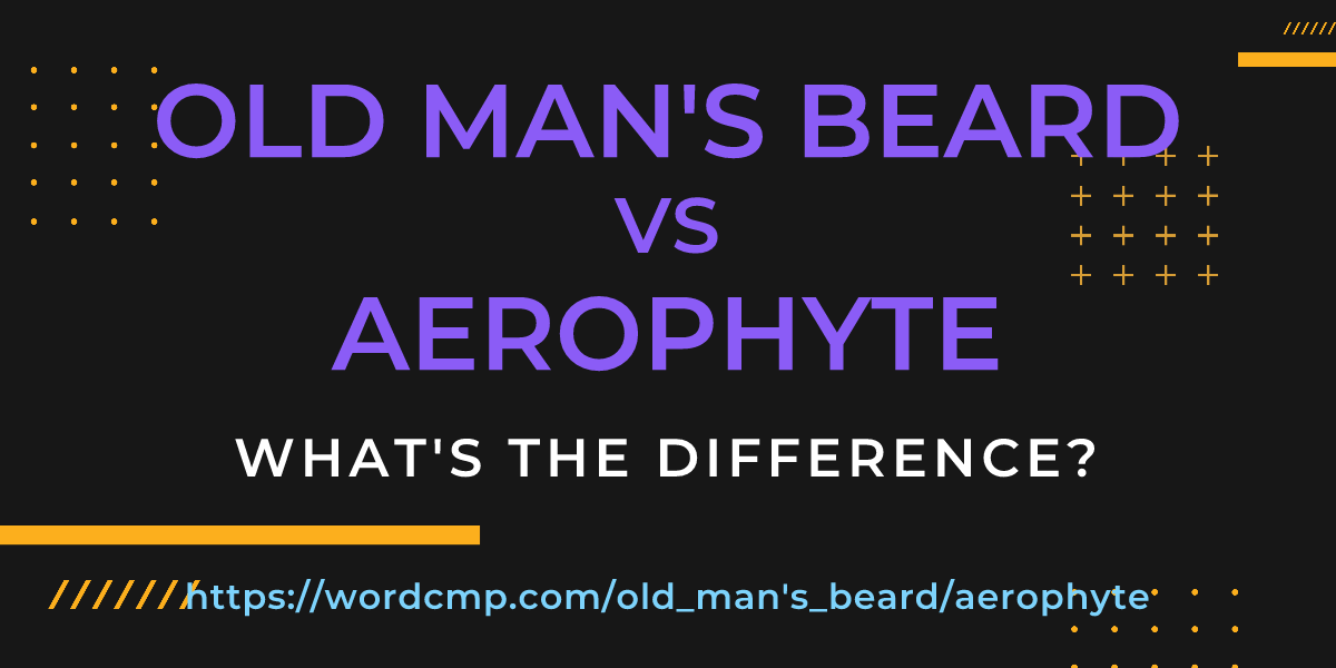 Difference between old man's beard and aerophyte