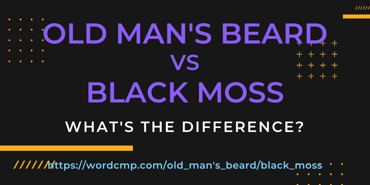 Difference between old man's beard and black moss