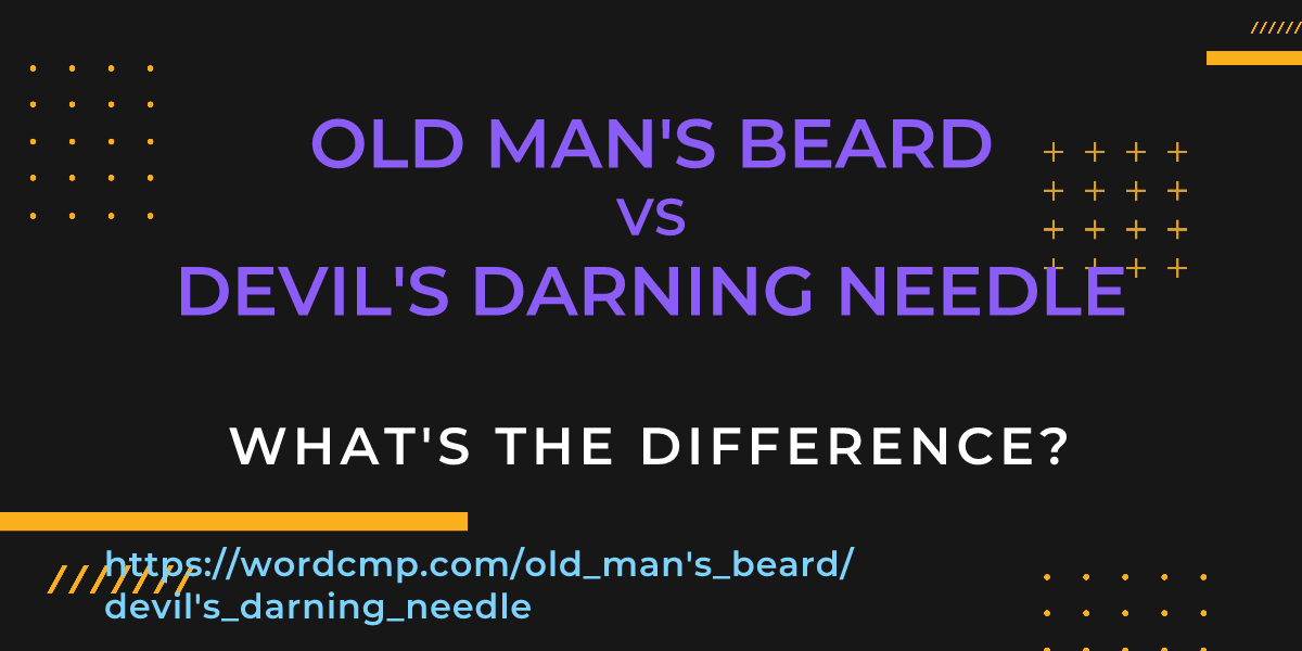 Difference between old man's beard and devil's darning needle