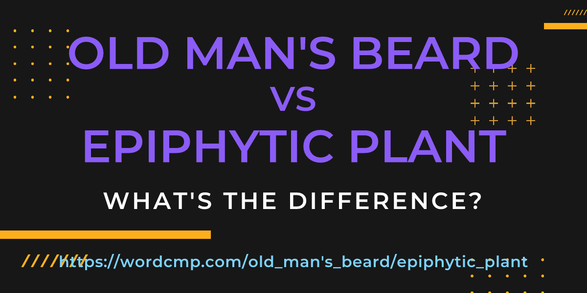 Difference between old man's beard and epiphytic plant
