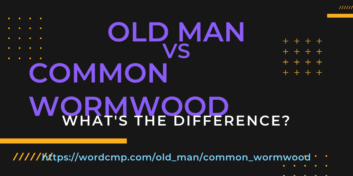 Difference between old man and common wormwood