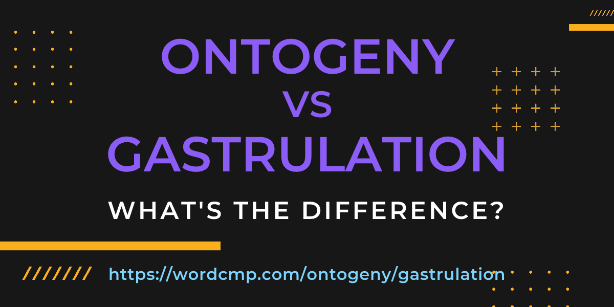 Difference between ontogeny and gastrulation