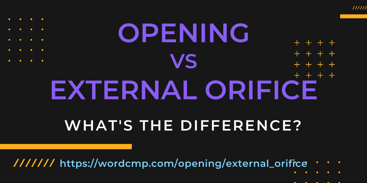 Difference between opening and external orifice