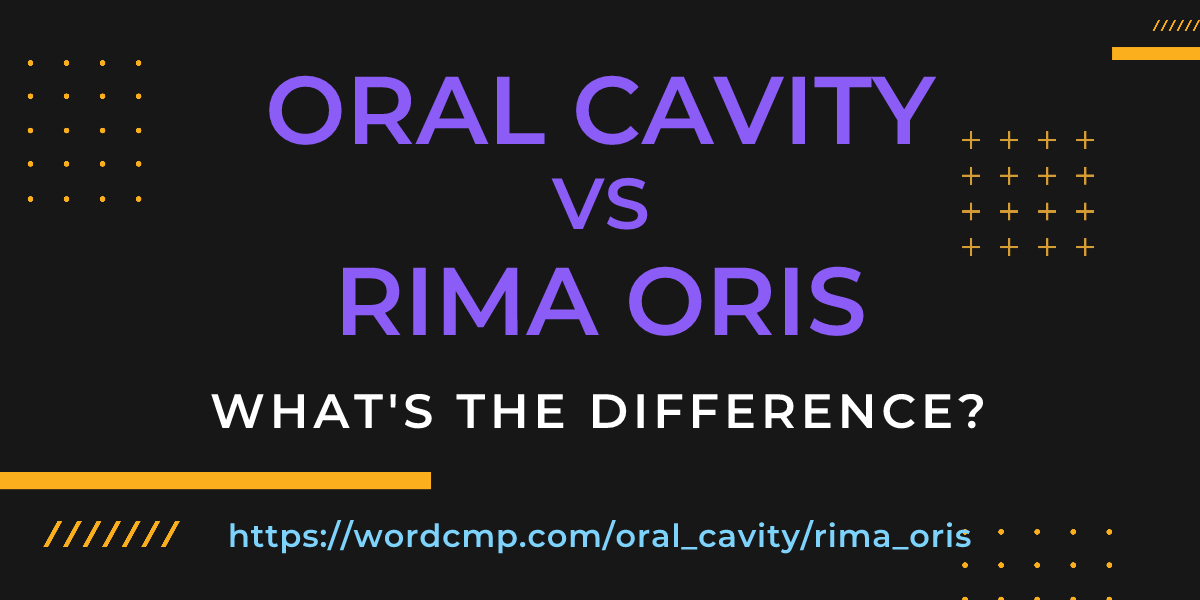 Difference between oral cavity and rima oris