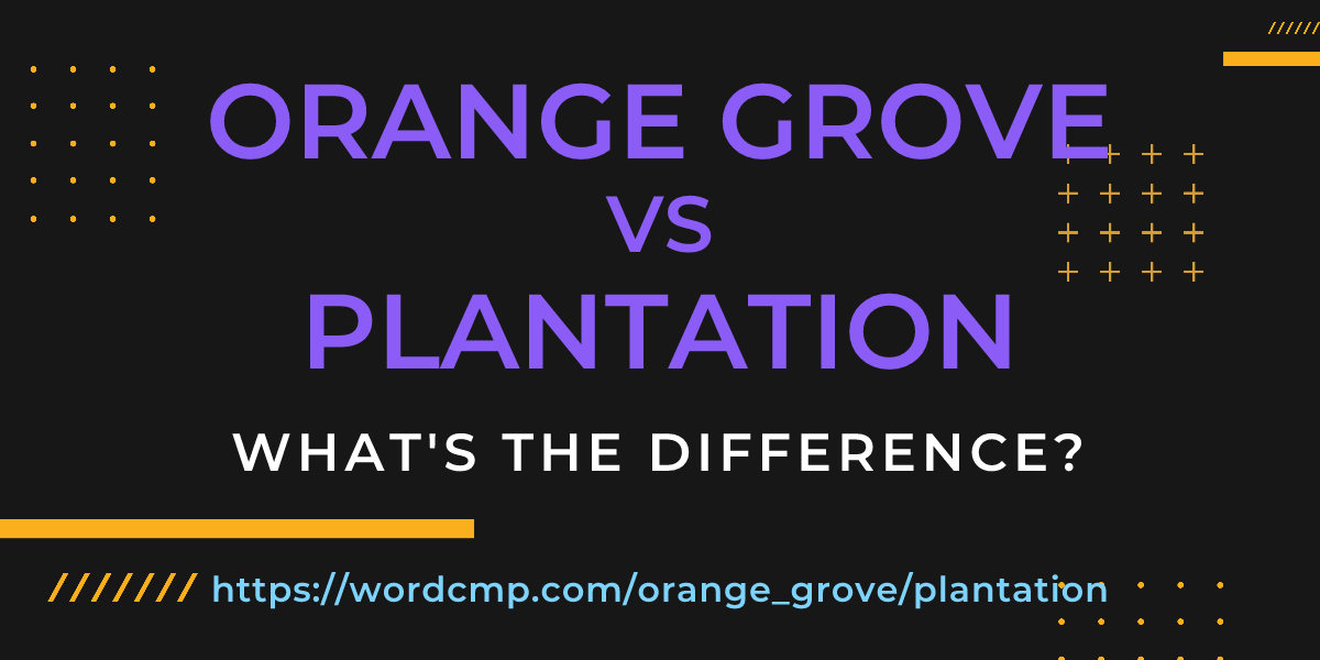 Difference between orange grove and plantation