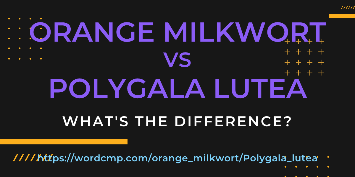 Difference between orange milkwort and Polygala lutea