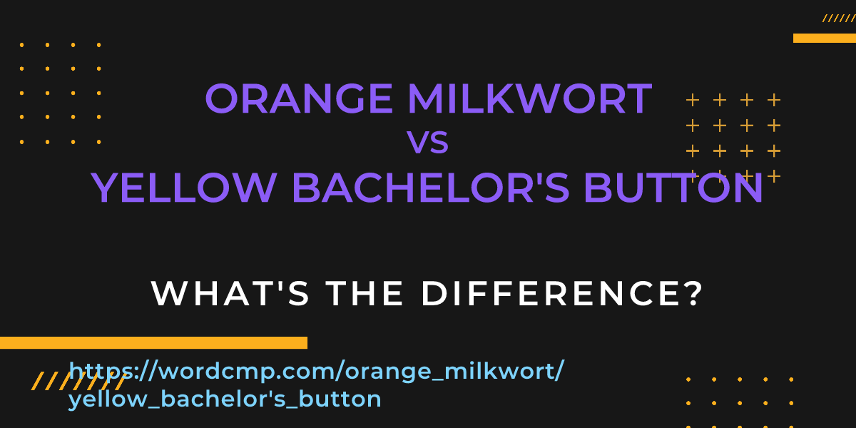 Difference between orange milkwort and yellow bachelor's button