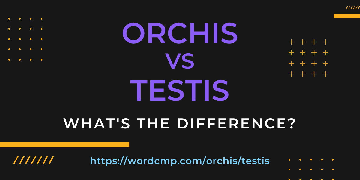 Difference between orchis and testis
