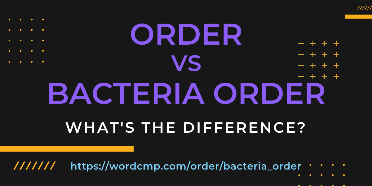 Difference between order and bacteria order