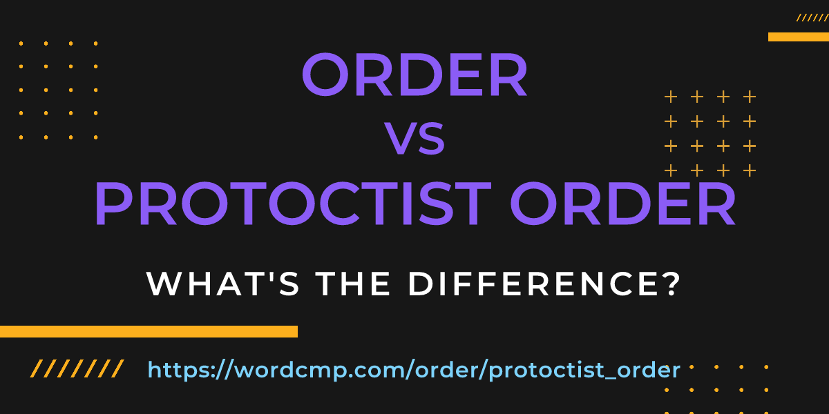 Difference between order and protoctist order