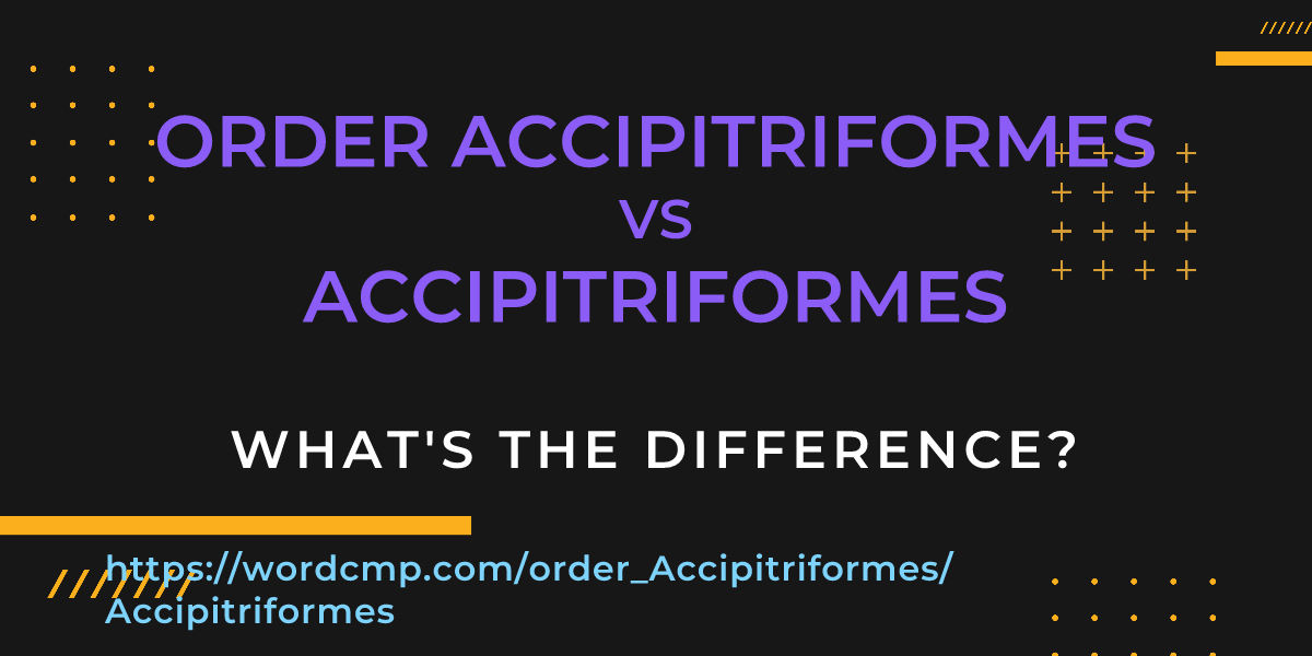 Difference between order Accipitriformes and Accipitriformes