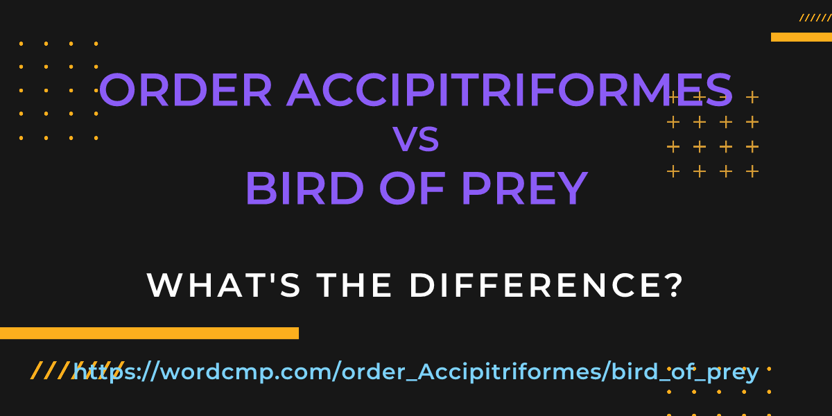 Difference between order Accipitriformes and bird of prey