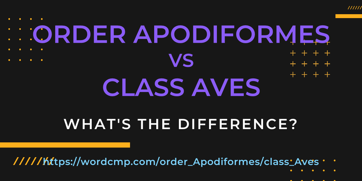 Difference between order Apodiformes and class Aves