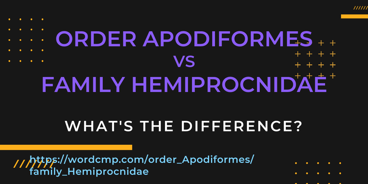 Difference between order Apodiformes and family Hemiprocnidae