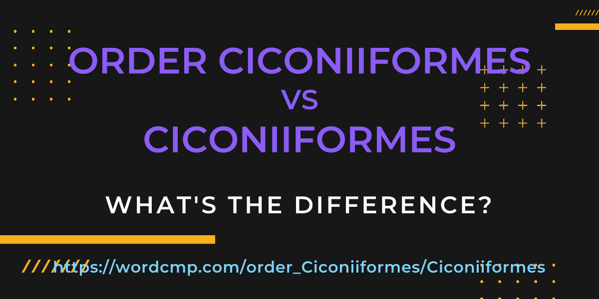 Difference between order Ciconiiformes and Ciconiiformes