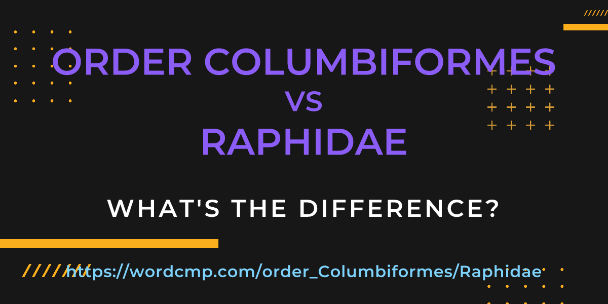 Difference between order Columbiformes and Raphidae