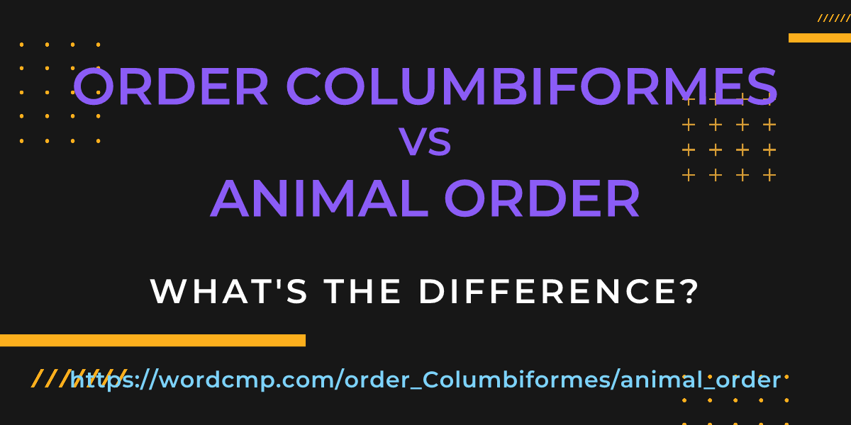 Difference between order Columbiformes and animal order