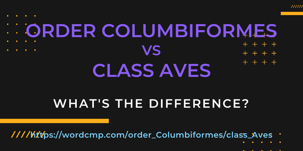 Difference between order Columbiformes and class Aves
