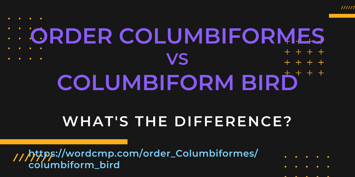 Difference between order Columbiformes and columbiform bird