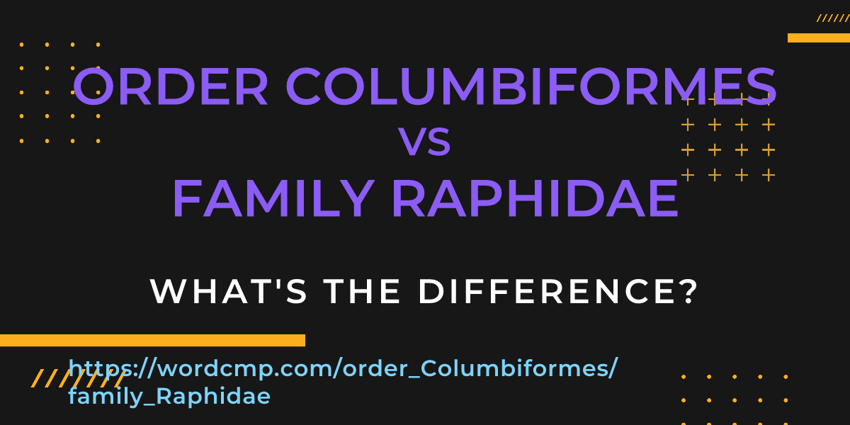 Difference between order Columbiformes and family Raphidae