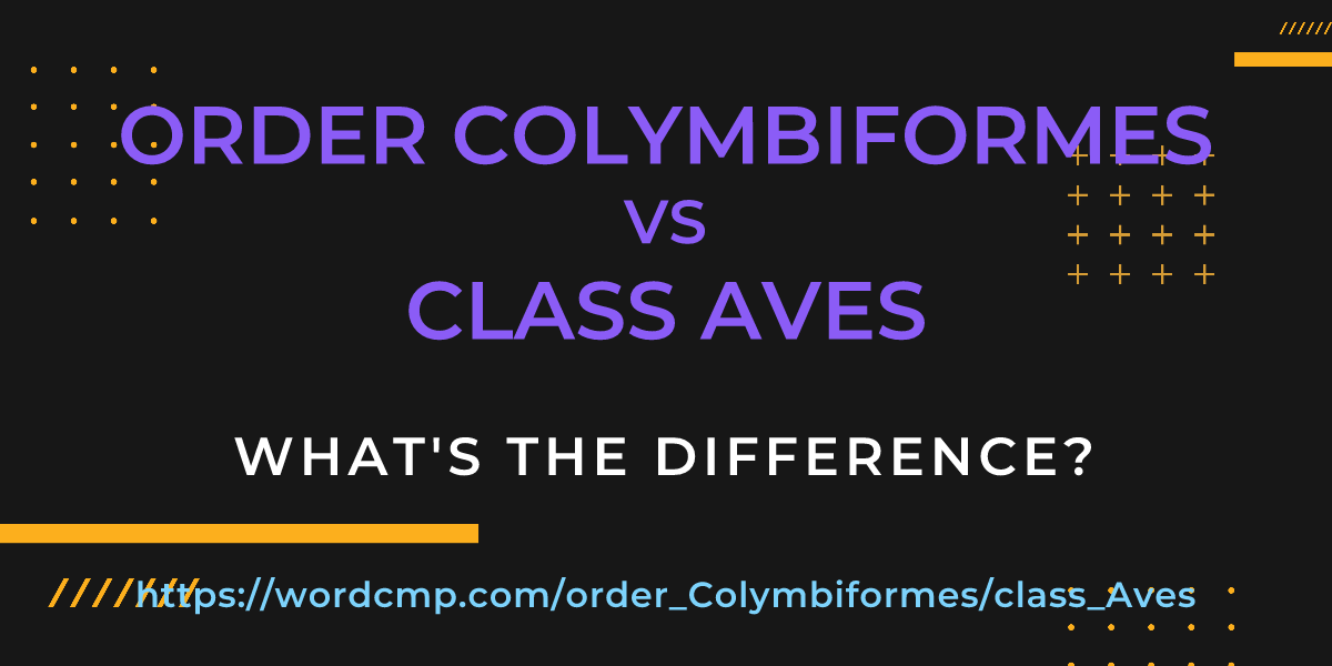 Difference between order Colymbiformes and class Aves