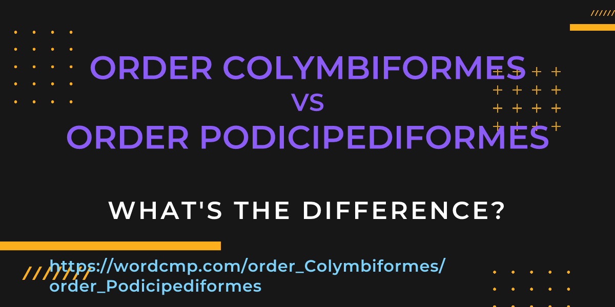 Difference between order Colymbiformes and order Podicipediformes