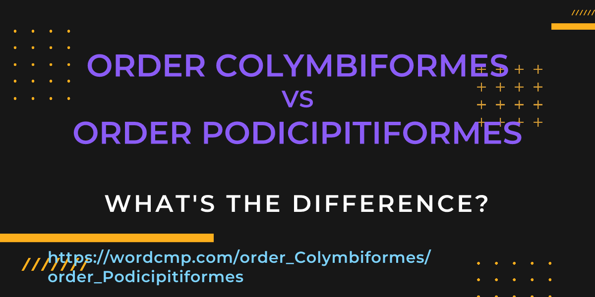 Difference between order Colymbiformes and order Podicipitiformes