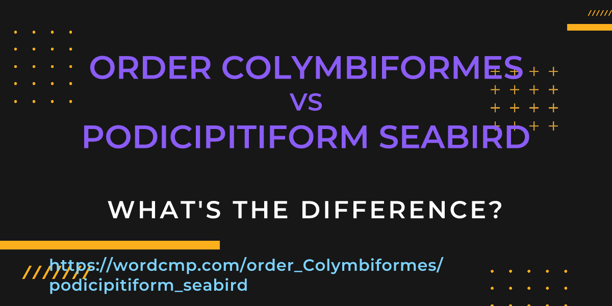 Difference between order Colymbiformes and podicipitiform seabird