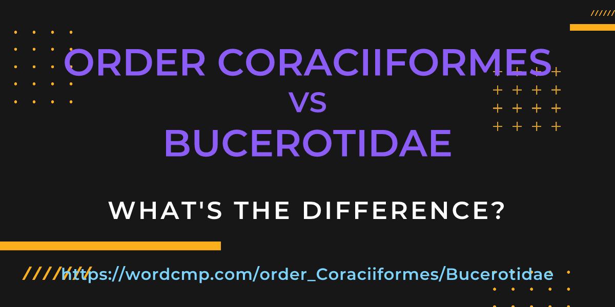 Difference between order Coraciiformes and Bucerotidae