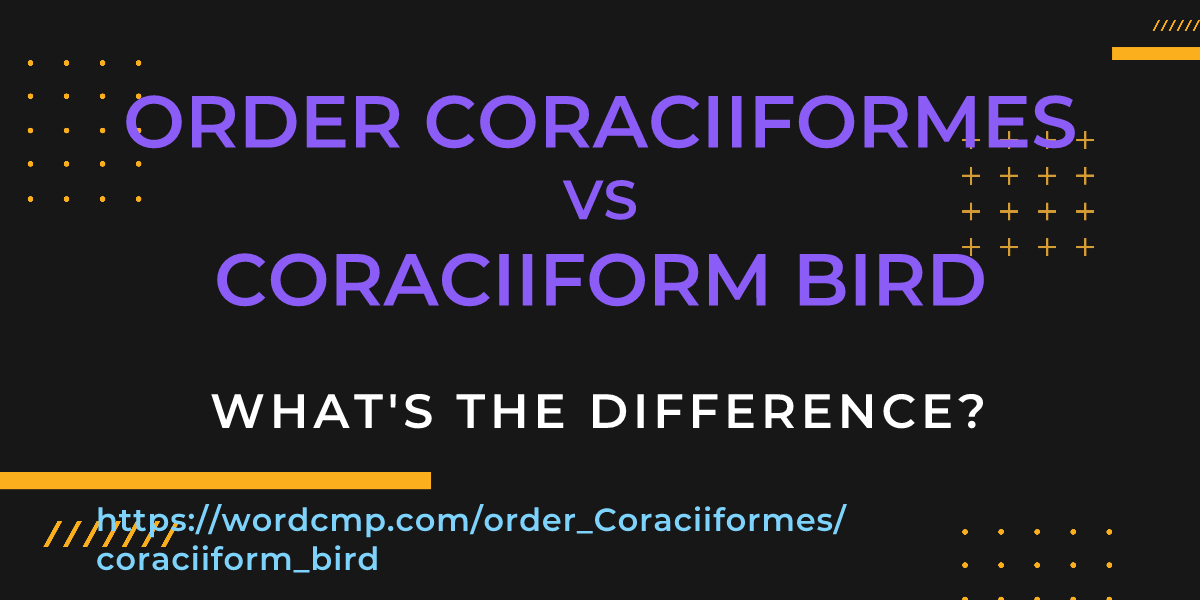 Difference between order Coraciiformes and coraciiform bird