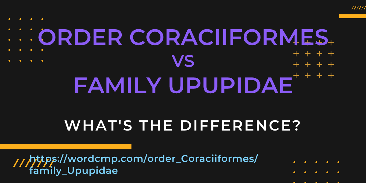 Difference between order Coraciiformes and family Upupidae