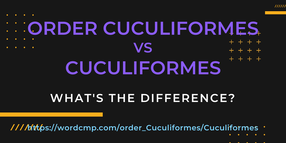 Difference between order Cuculiformes and Cuculiformes