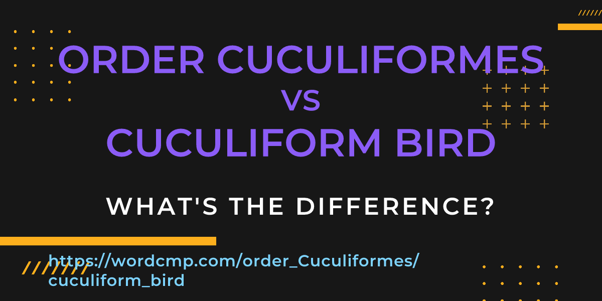 Difference between order Cuculiformes and cuculiform bird
