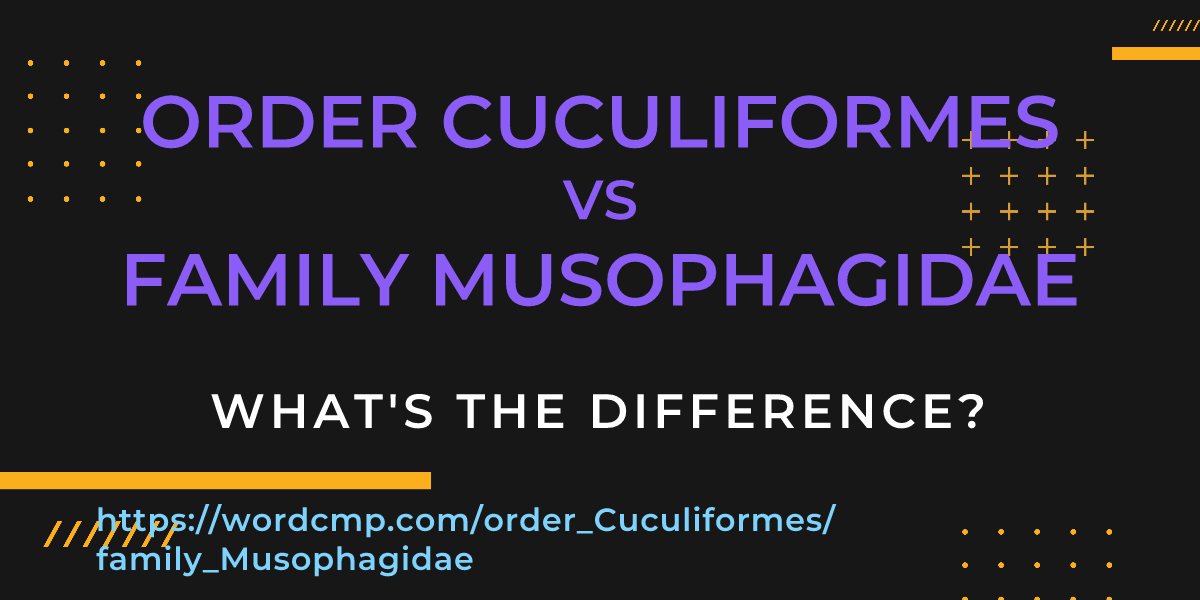 Difference between order Cuculiformes and family Musophagidae