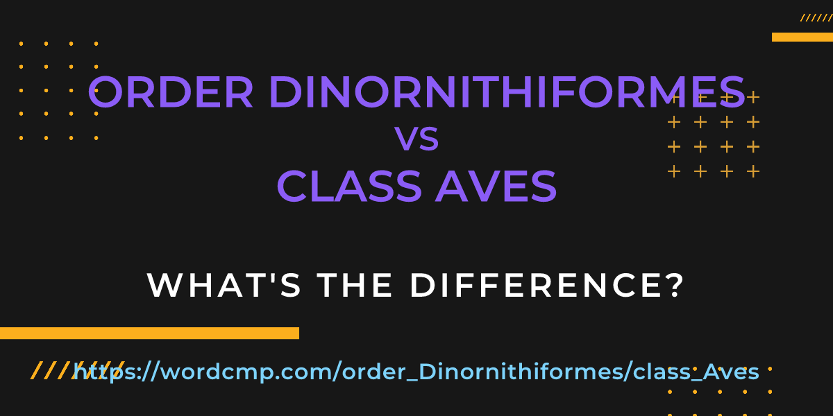 Difference between order Dinornithiformes and class Aves