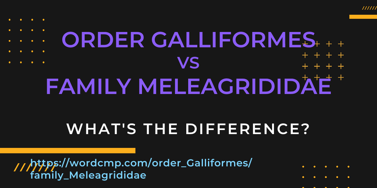 Difference between order Galliformes and family Meleagrididae