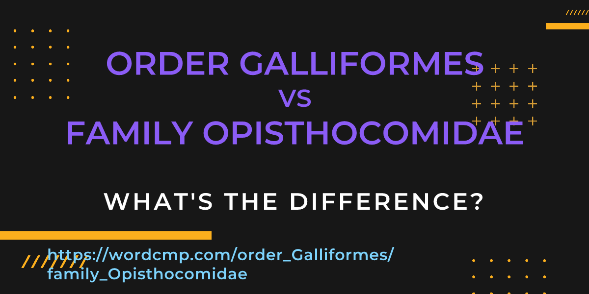 Difference between order Galliformes and family Opisthocomidae