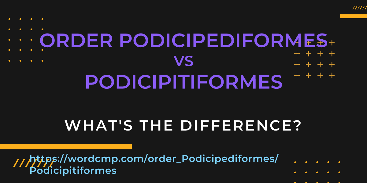 Difference between order Podicipediformes and Podicipitiformes