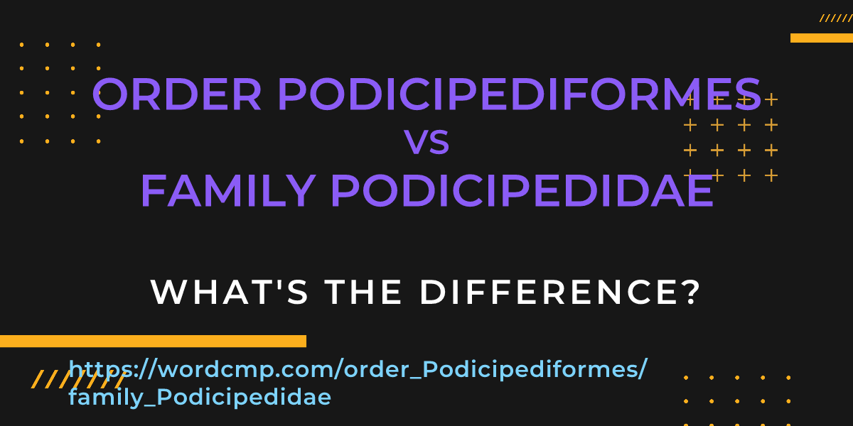 Difference between order Podicipediformes and family Podicipedidae