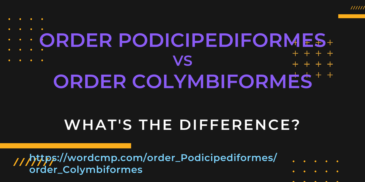 Difference between order Podicipediformes and order Colymbiformes