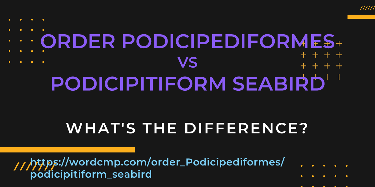 Difference between order Podicipediformes and podicipitiform seabird