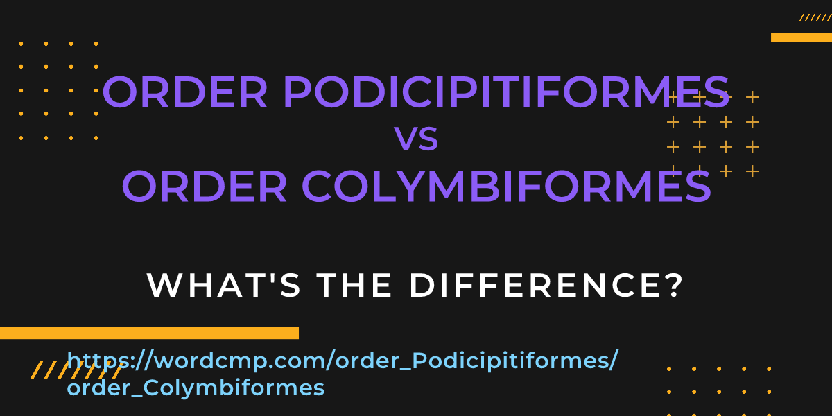 Difference between order Podicipitiformes and order Colymbiformes