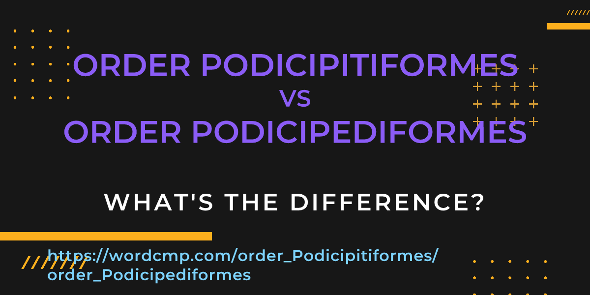 Difference between order Podicipitiformes and order Podicipediformes