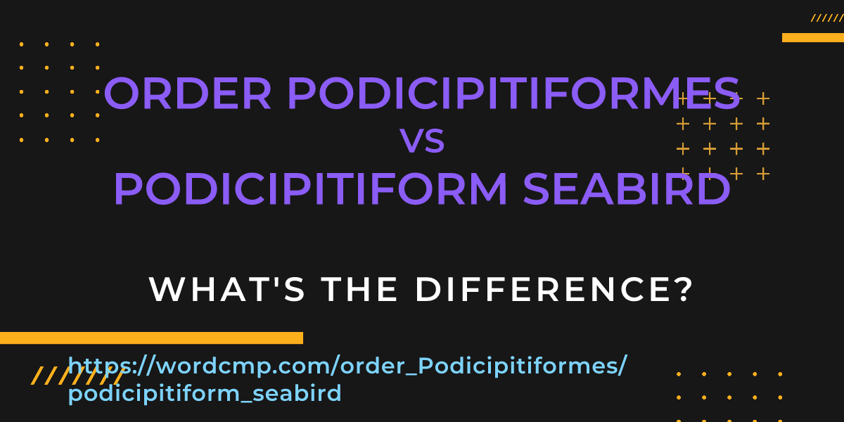 Difference between order Podicipitiformes and podicipitiform seabird