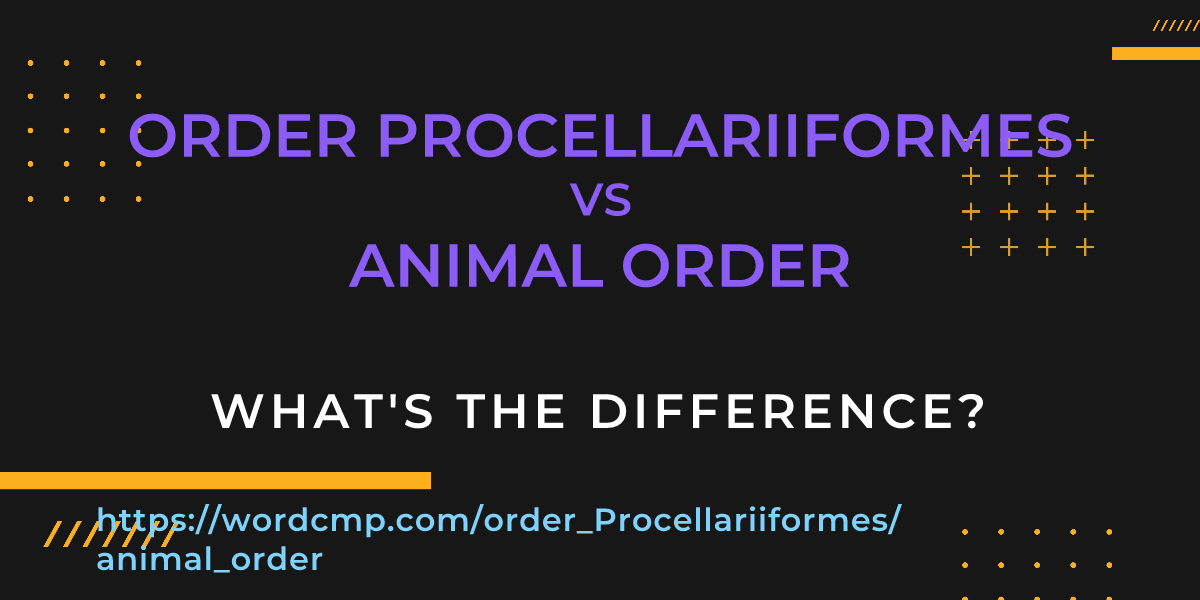 Difference between order Procellariiformes and animal order