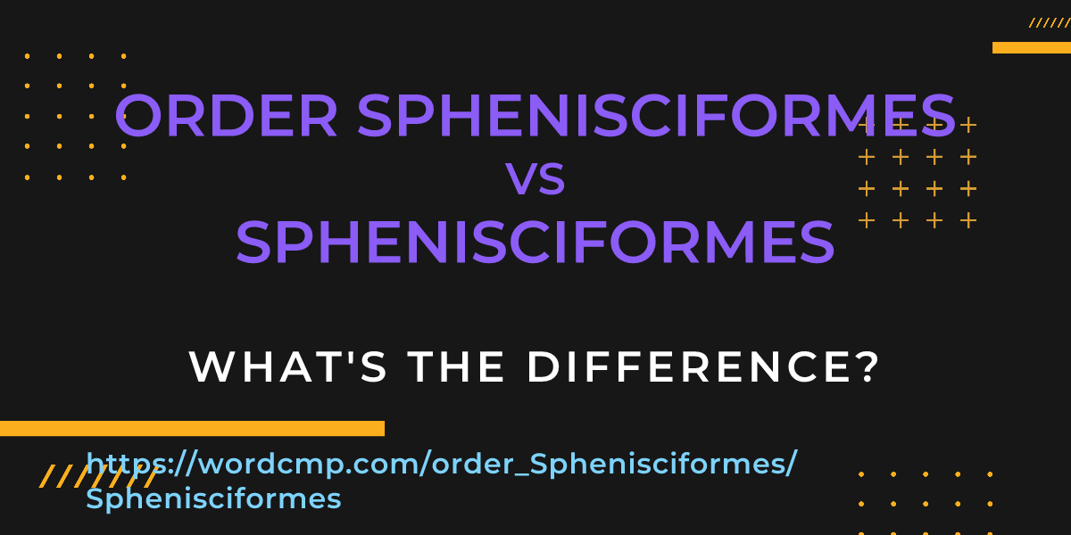 Difference between order Sphenisciformes and Sphenisciformes