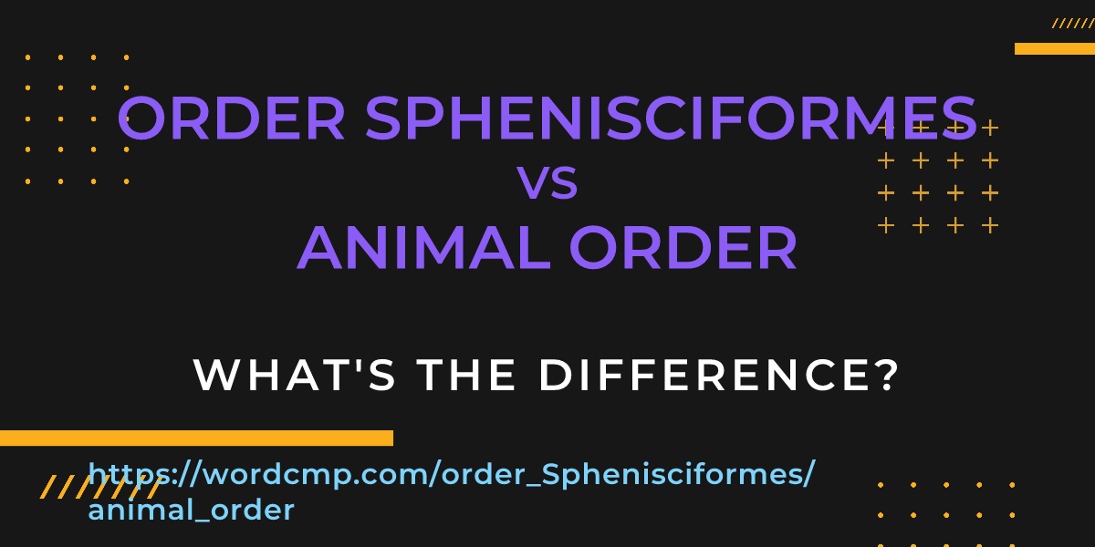 Difference between order Sphenisciformes and animal order