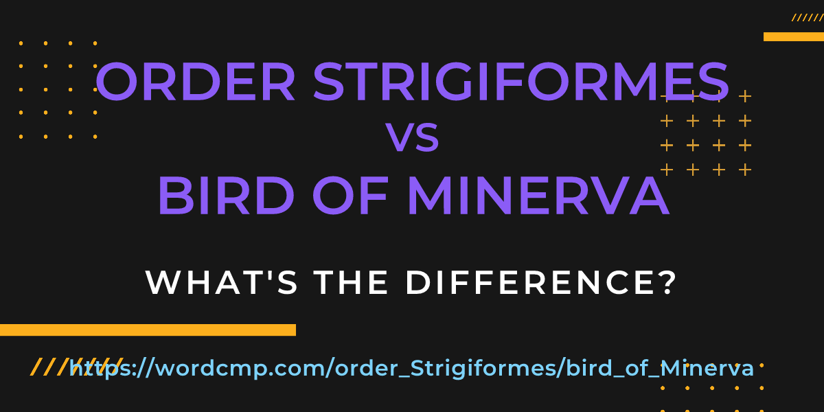 Difference between order Strigiformes and bird of Minerva